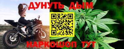 шишки Можга