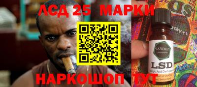 шишки Можга