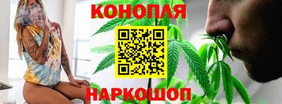 шишки Можга