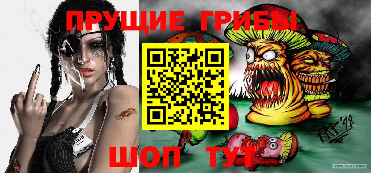 Псилоцибиновые грибы GOLDEN TEACHER  Вход с VPN  Урай  Галлюциногенные грибы прущие грибы 