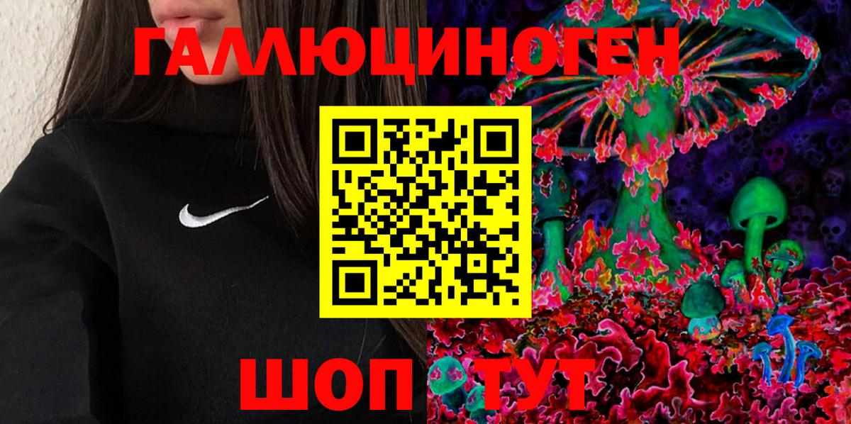 Галлюциногенные грибы Psilocybe Урай